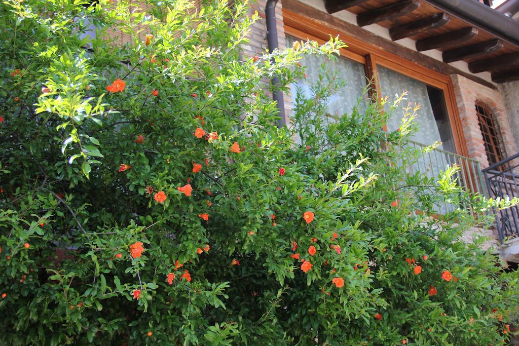 بادينغي سول غاردا B&B Il Melograno Del Garda المظهر الخارجي الصورة